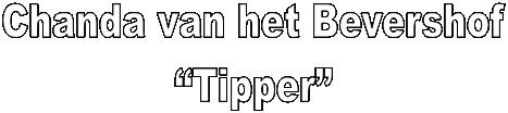 Chanda van het BevershofTipper