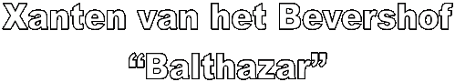 Xanten van het Bevershof
Balthazar